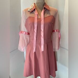Pink Sheer Sleeve Dress